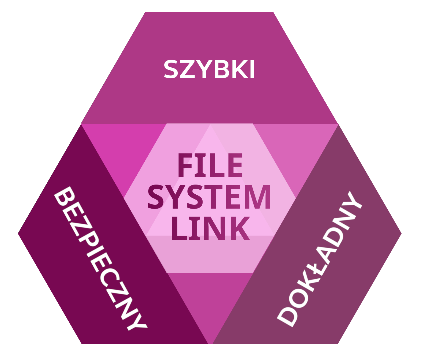 Paragon File System Link: Szybki, bezpieczny, dokładny. Wybierz wszystkie trzy.